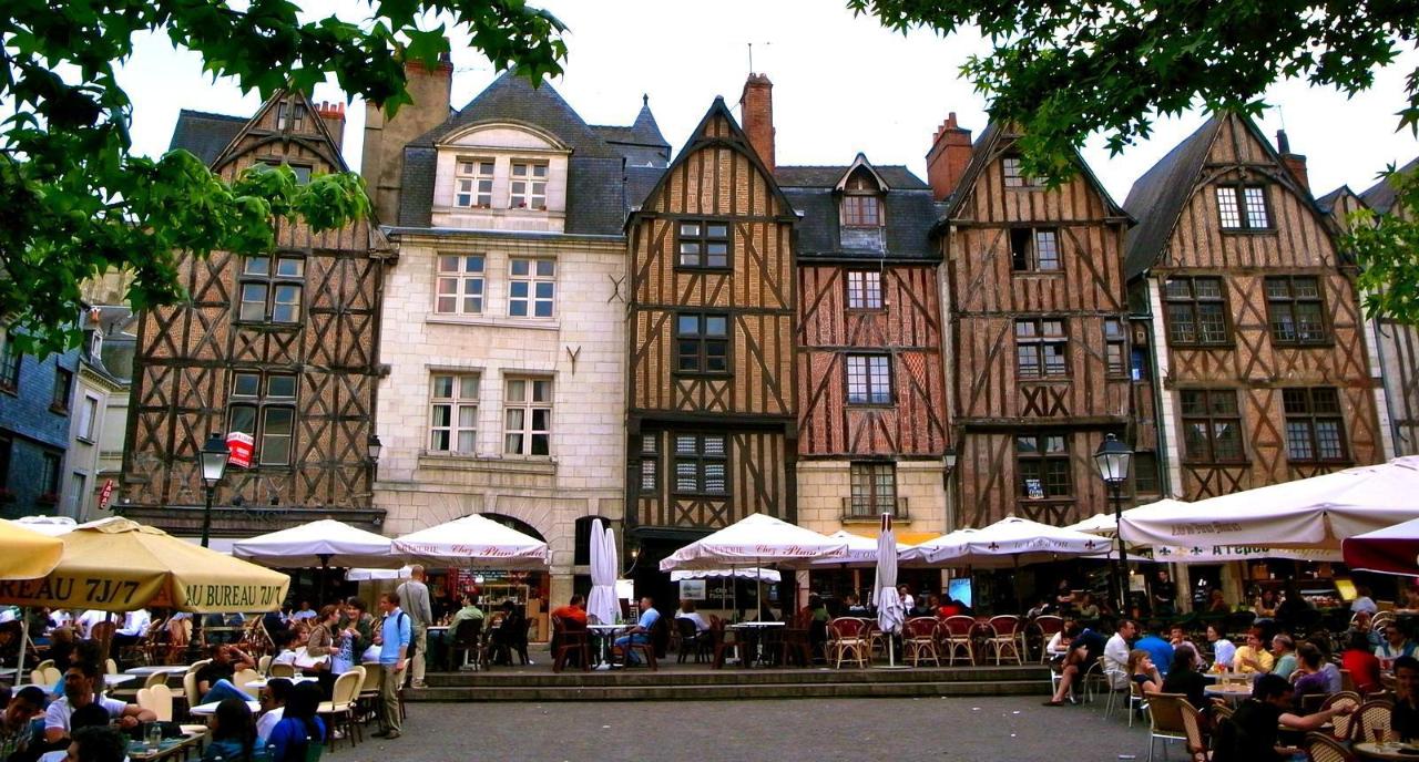 Ophorus Tours - Wine Country to Fairytale Castles: Private Transfer Bordeaux to Tours