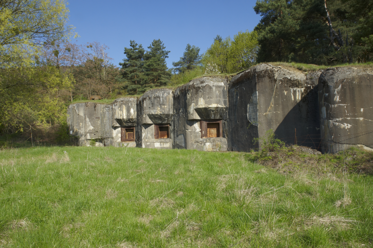 Ophorus Tours - Private WW1 Memorial Tour from Colmar