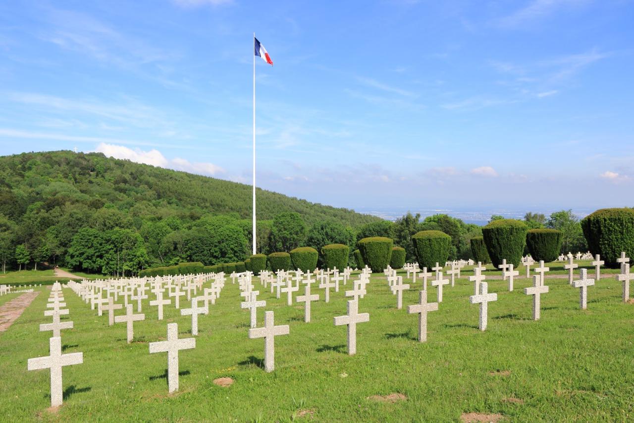 Ophorus Tours - WWI Alsace Museums & Sights Private Tour : A Historical Immersion