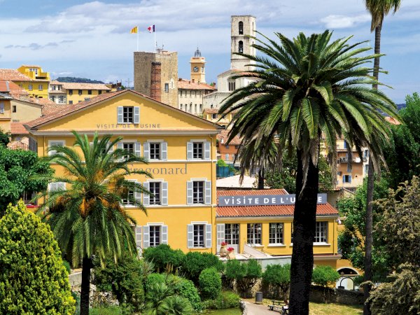 Ophorus Tours - From Villefranche Port to Cannes, Grasse, Gourdon & St Paul de Vence private
