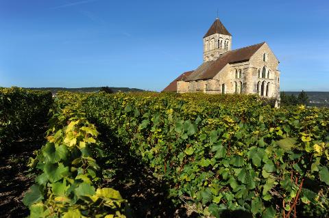 Ophorus Tours - 11-Day Private Tour of Champagne, Alsace, and Burgundy in 4* Hotel