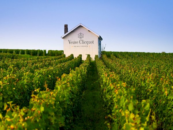 Ophorus Tours - 11-Day Private Escape to Champagne, Alsace, and Burgundy in 4* Hotel
