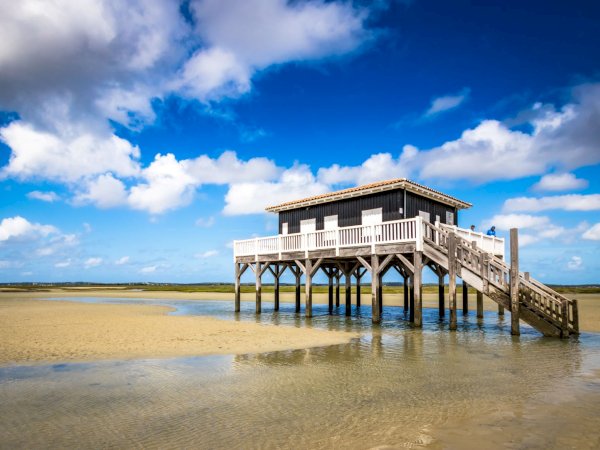 Ophorus Tours - 3-Hour Private Boat Tour: Discover Arcachon Bay's Secrets by Pinasse