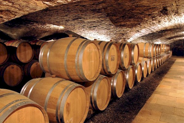 Ophorus Tours - 4-Day Private Burgundy Wine Tour Package - Dijon - 5* Hotel