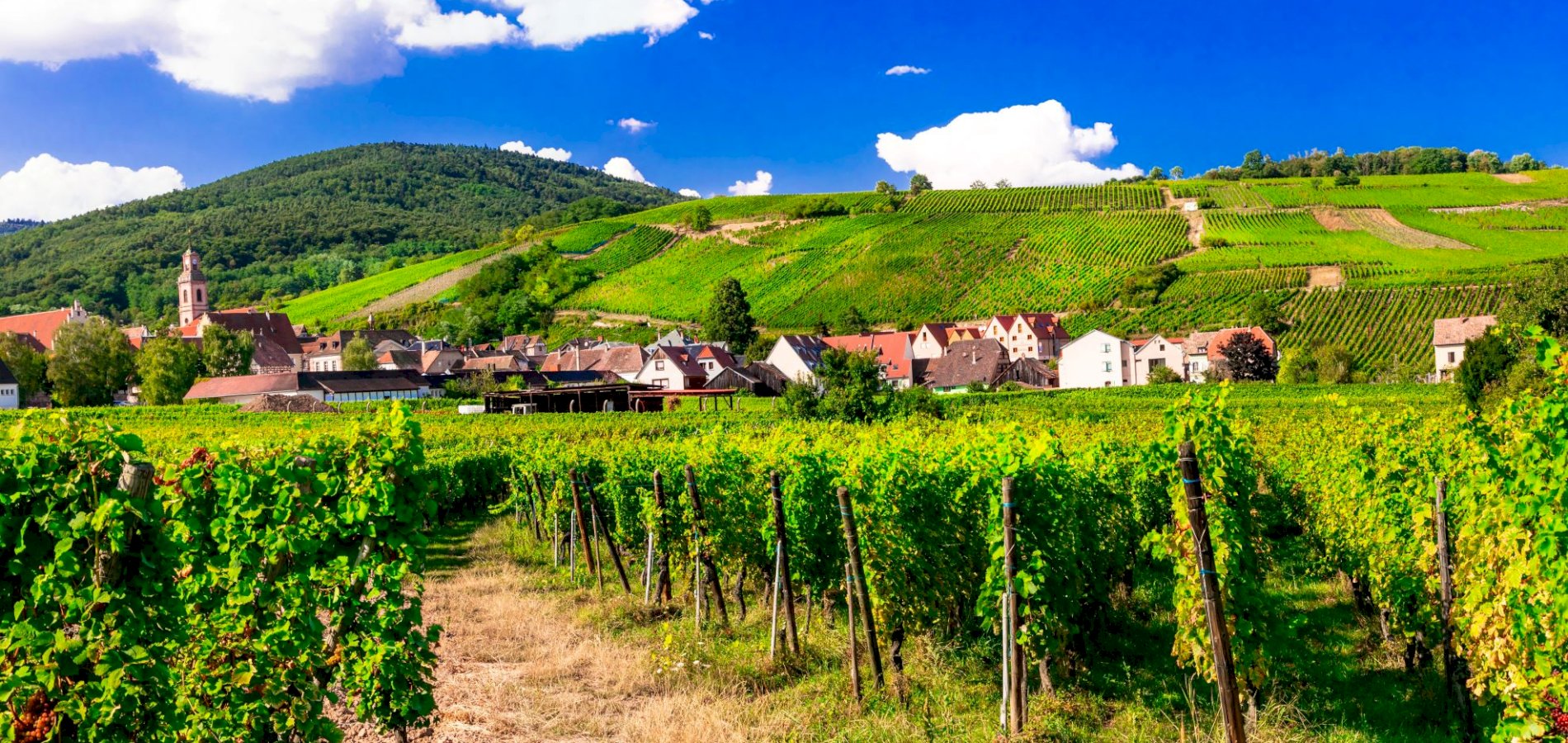 Ophorus Tours - 4 Days Alsace Shared Travel Package - 3* Hotel Option