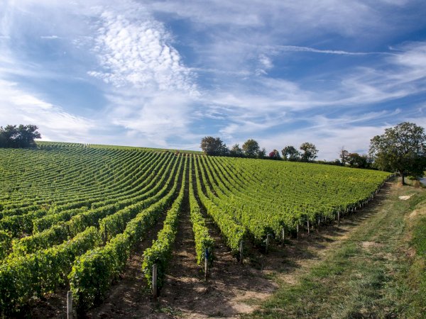 Ophorus Tours - 4-Day Private Loire Valley Package - 5* Hotel
