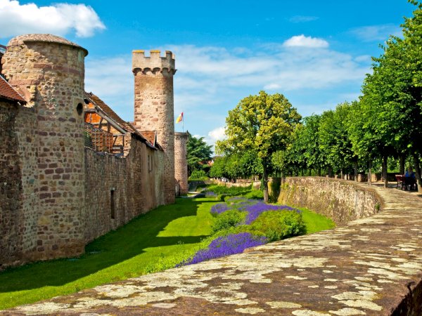 Ophorus Tours - 4-Day Small Group Alsace Packages - Colmar - 4* Hotel