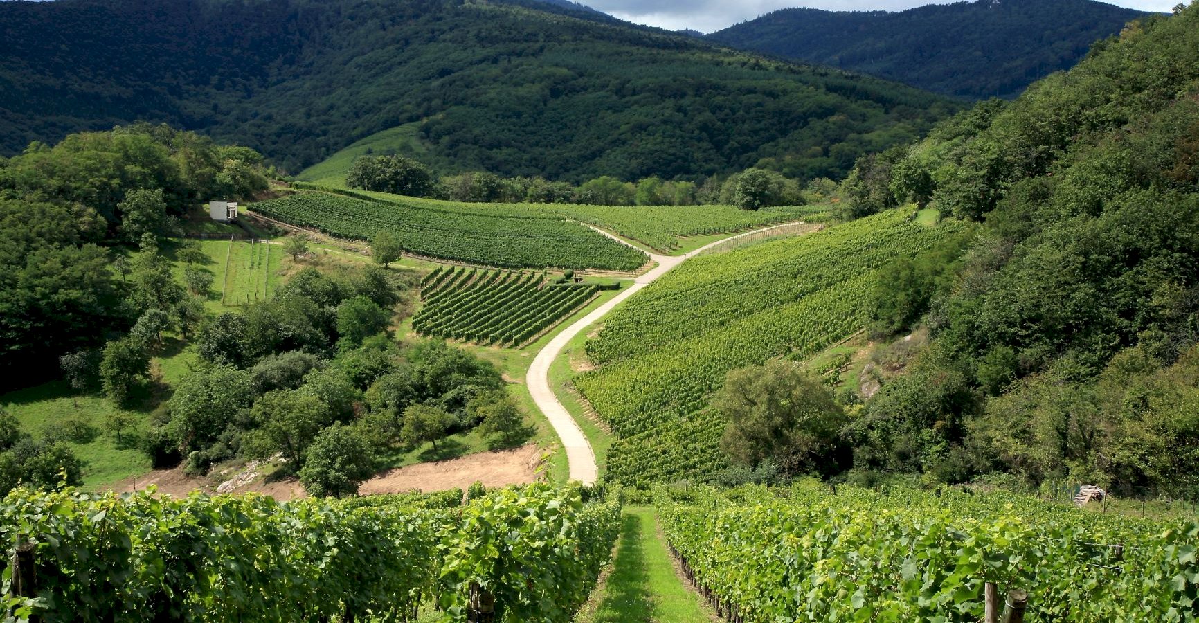 Ophorus Tours - 4-Day Small Group Alsace Packages - Colmar - 4* Hotel