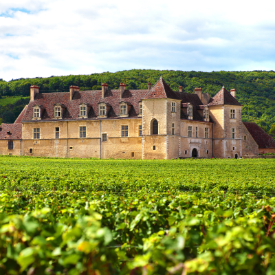 Visit of Château du Clos de Vougeot