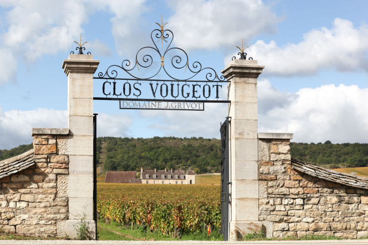 Ophorus Tours - Discover Burgundy's Gems: Autun, Beaune & Clos de Vougeot Private Tour from Dijon