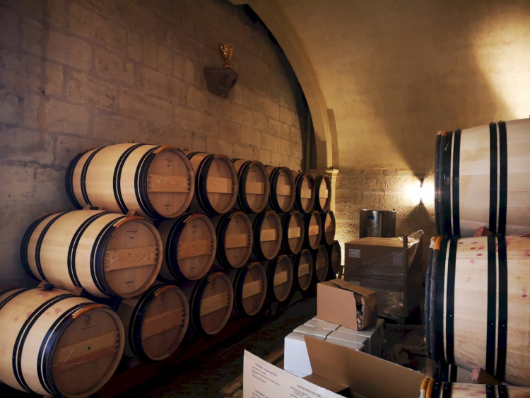 Ophorus Tours - Discover Saint-Émilion's Finest: Grand Cru Chateau, Gourmet Lunch & Monuments