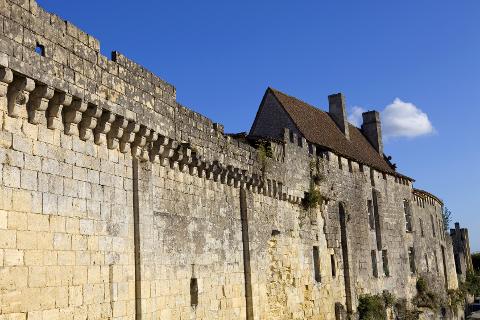 Ophorus Tours - Discover Saint-Emilion's Finest: Grand Cru Chateau, Gourmet Lunch & Monuments