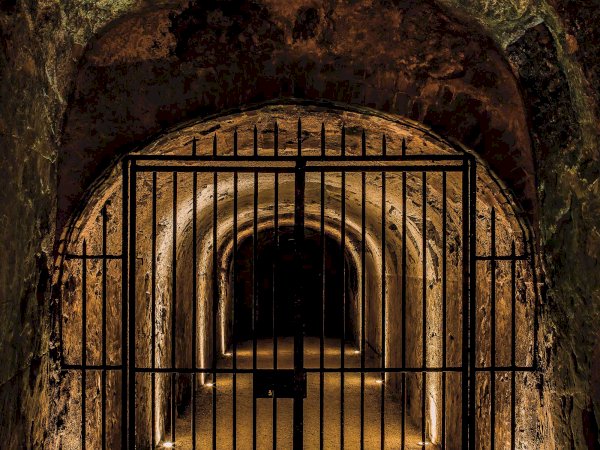 Ophorus Tours - Epernay Bubbles: Private Champagne Houses & Tastings