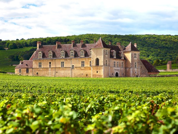 Ophorus Tours - Exclusive Full-Day Côte de Beaune Wine Tour for 2 persons – From Dijon