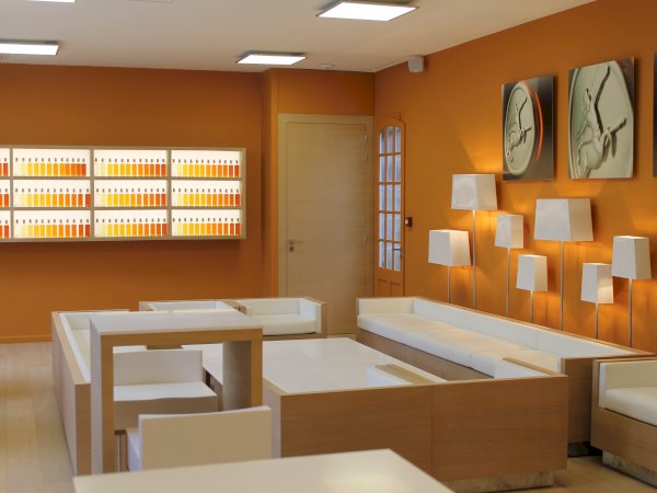 Ophorus Tours - Rémy Martin Tour: Unveiling Cognac Secrets & Louis XIII