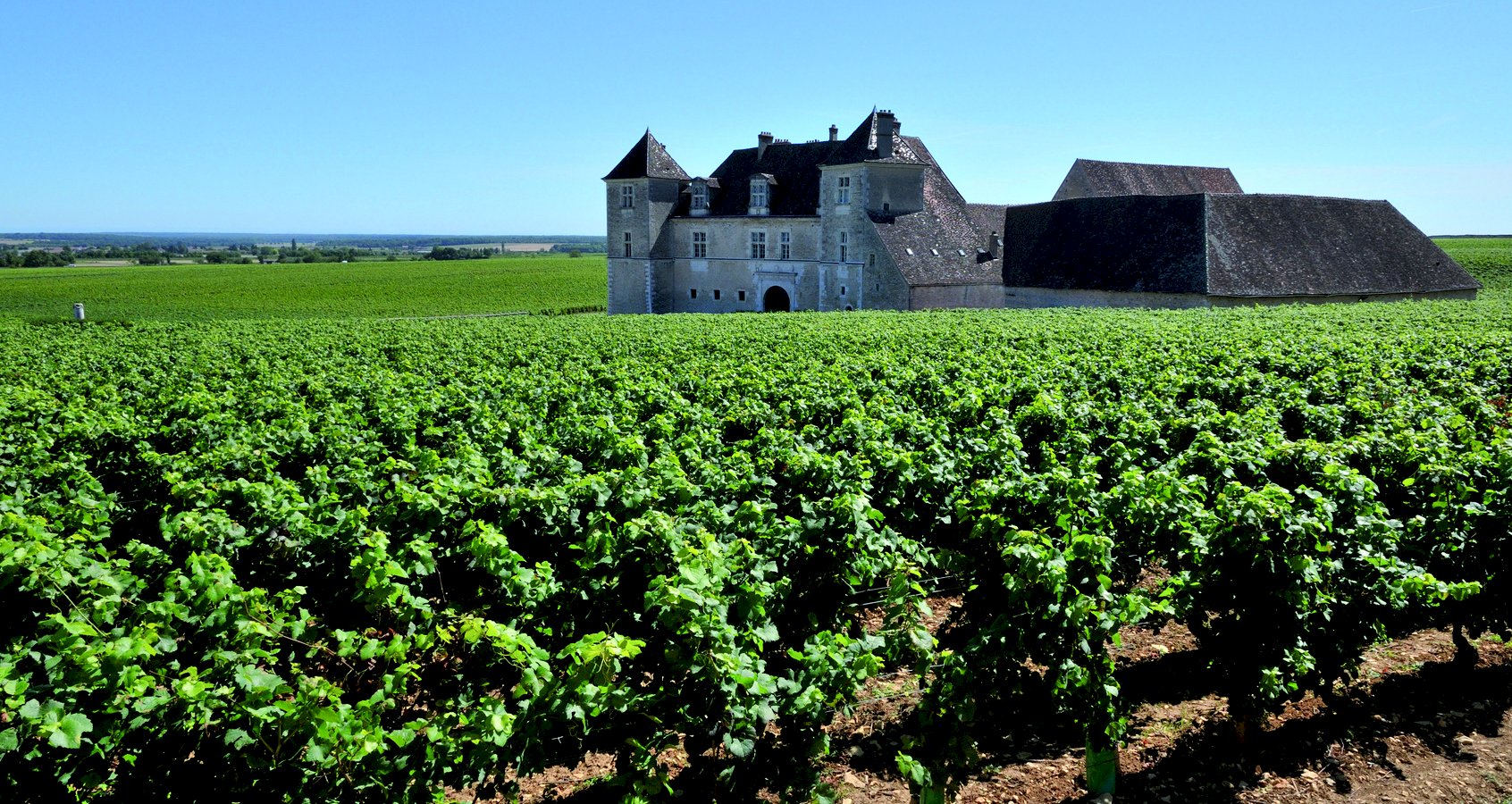 Ophorus Tours - Experience Burgundy Wines: Private Day Trip by Train from Paris