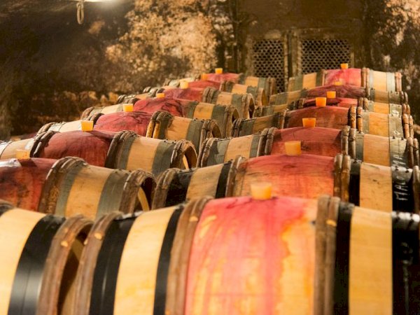 Ophorus Tours - Experience Burgundy Wines: Private Day Trip by Train from Paris