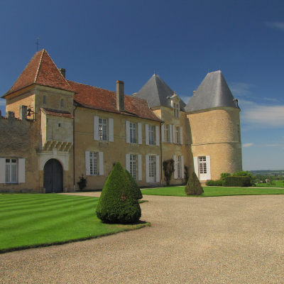 Château d'Yquem visit
