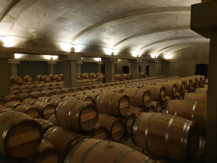 Ophorus Tours - Private Château d'Yquem & Caviar Pairing Tour from Bordeaux