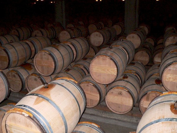 Ophorus Tours - Experience Sauternes Prestige: Château d'Yquem & Château Guiraud Wine Tour