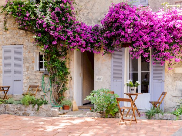 Ophorus Tours - Explore Antibes & Juan Les Pins: Cannes Shore Trip