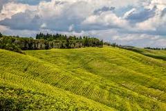 Ophorus Tours - From Montpellier Private Languedoc Wine Tour half-day