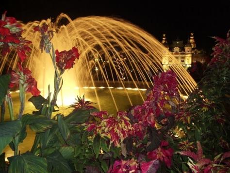 Ophorus Tours - From Nice to Monaco & Monte Carlo night tour private