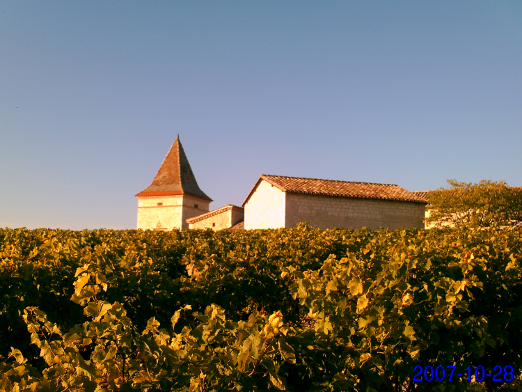 Ophorus Tours - Albi, Cordes Village & Gaillac Wine Experience - Private Tour from Toulouse