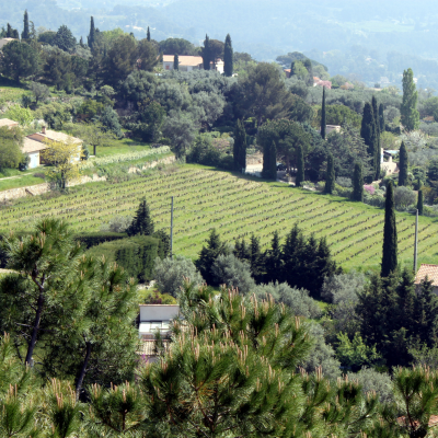 Scenic Drive Through Provence