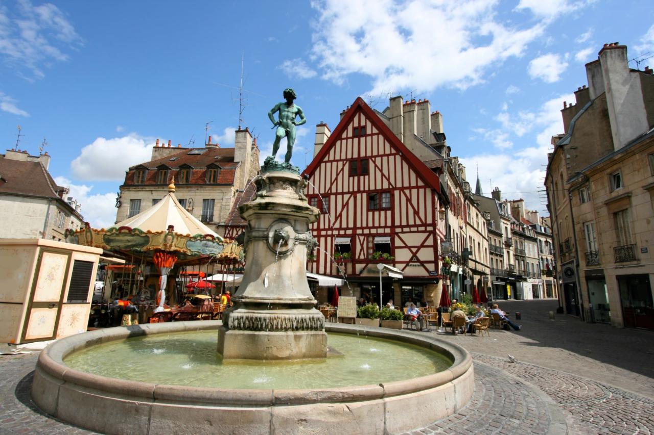 Ophorus Tours - Beaune Private Transfer to Dijon