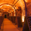 Grand Cru Vineyard or Local Producer – A Further Champagne Tasting
