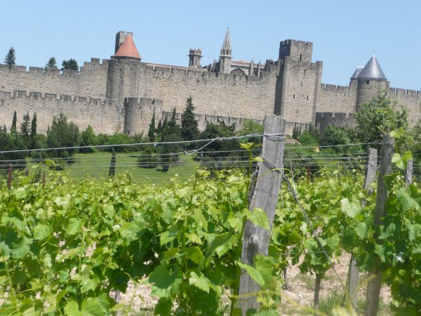 Ophorus Tours - Beyond the Walls: Unveiling Carcassonne on a Private Tour