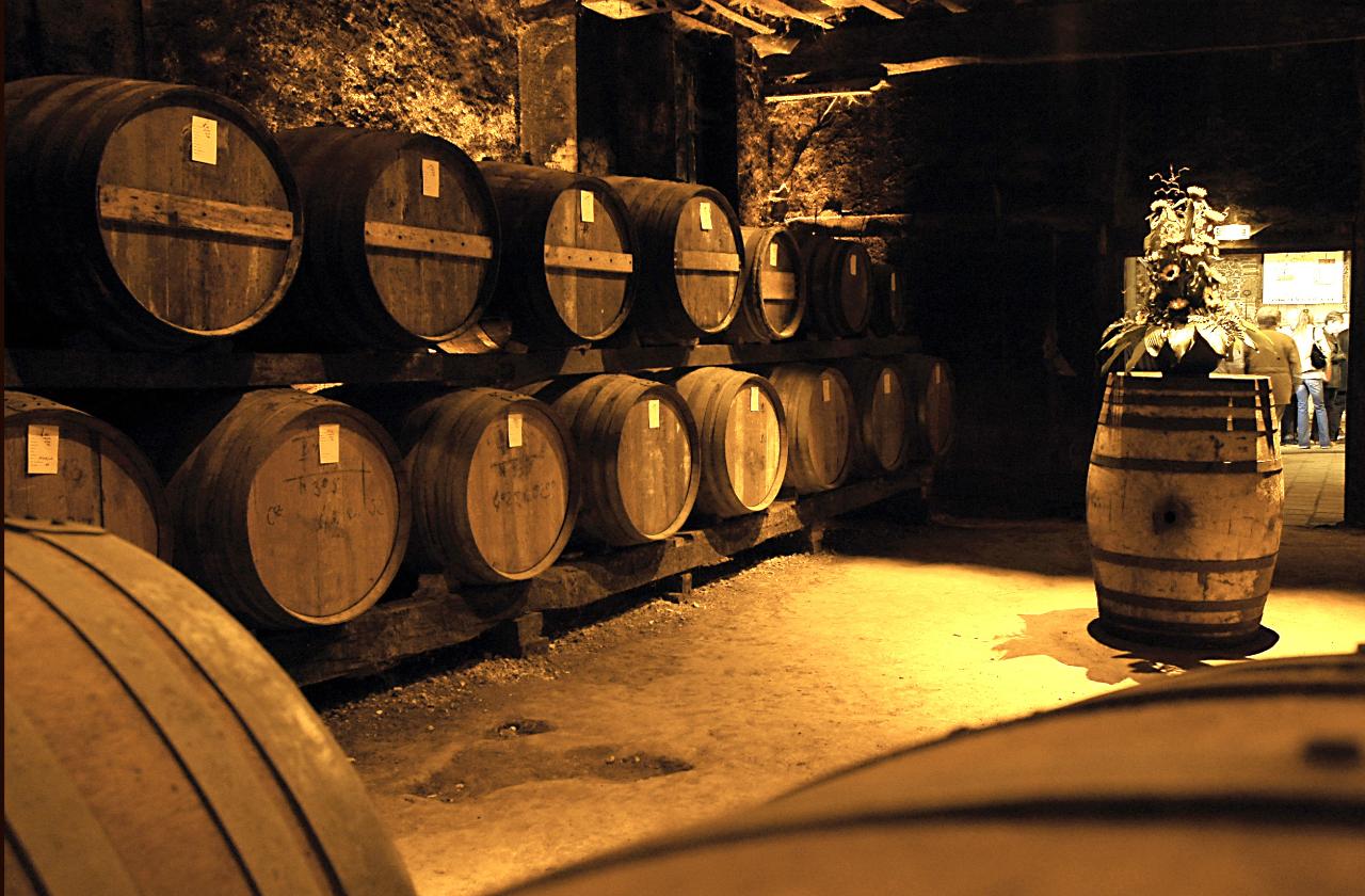 Ophorus Tours - Bordeaux to Cognac: Explore Brandy Country - Private Transfer