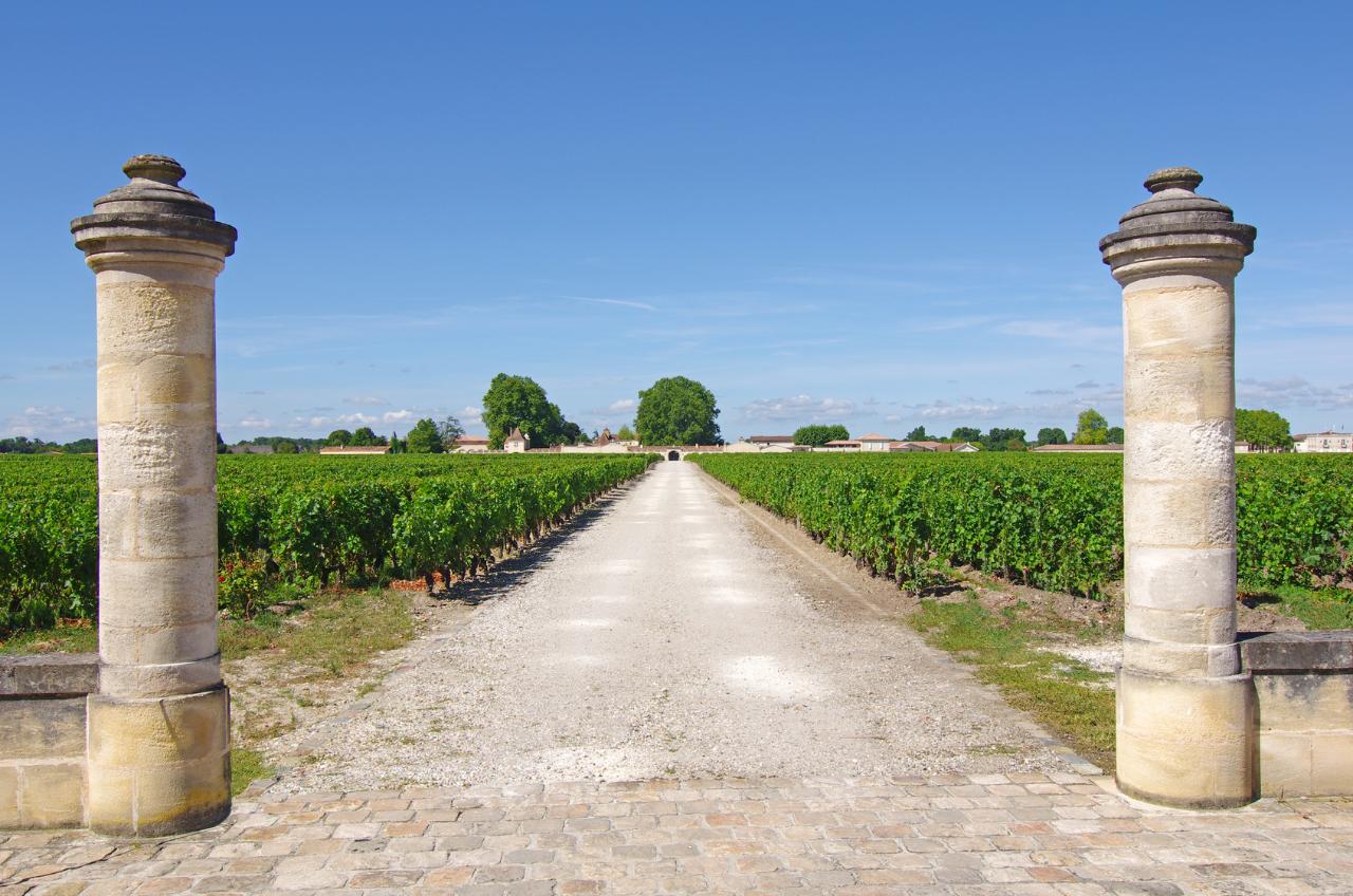 Ophorus Tours - Bordeaux to Margaux Vineyards: Private Chauffeured Transfer