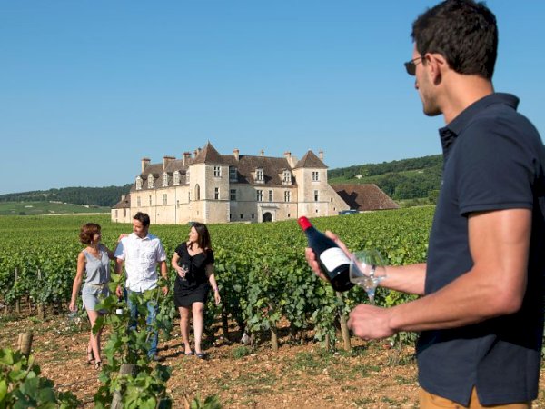 Ophorus Tours - 4-Day Small Group Burgundy Package - Dijon - 4* Hotel