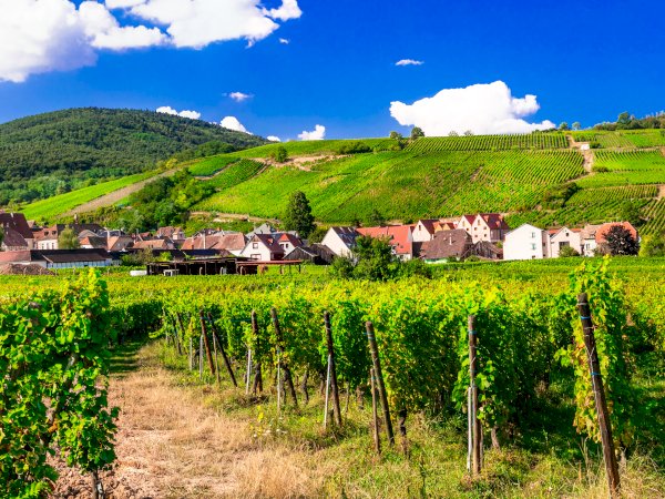 Ophorus Tours - 5-Day Private Alsace Package - Strasbourg - 3* Hotel