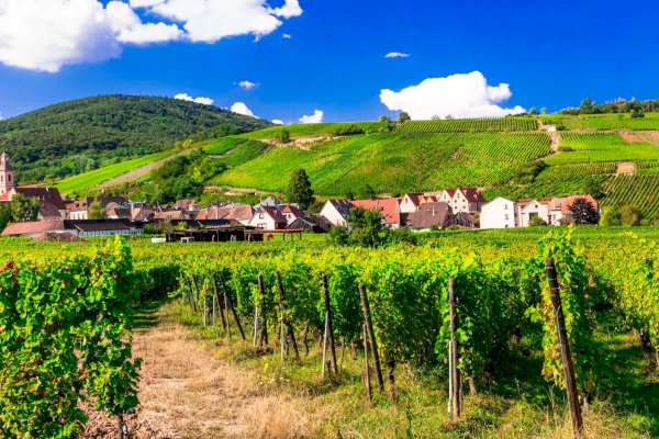 Ophorus Tours - 5-Day Private Alsace Package - Strasbourg - 4* Hotel