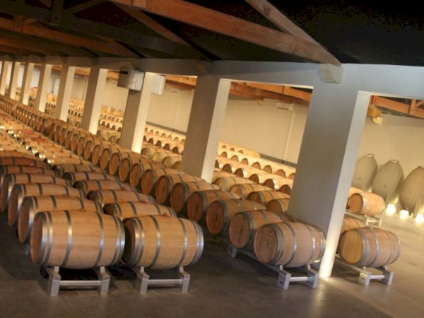 Ophorus Tours - Medoc Wine Immersion Full day Bordeaux Vineyard Tour