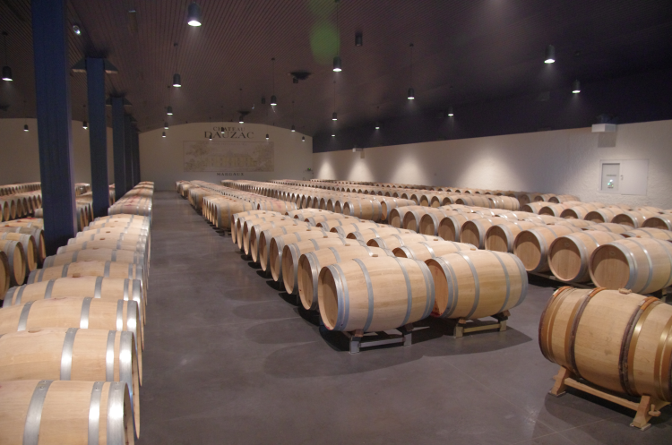 Ophorus Tours - Explore Médoc Wineries: Private Shore Trip from Le Verdon