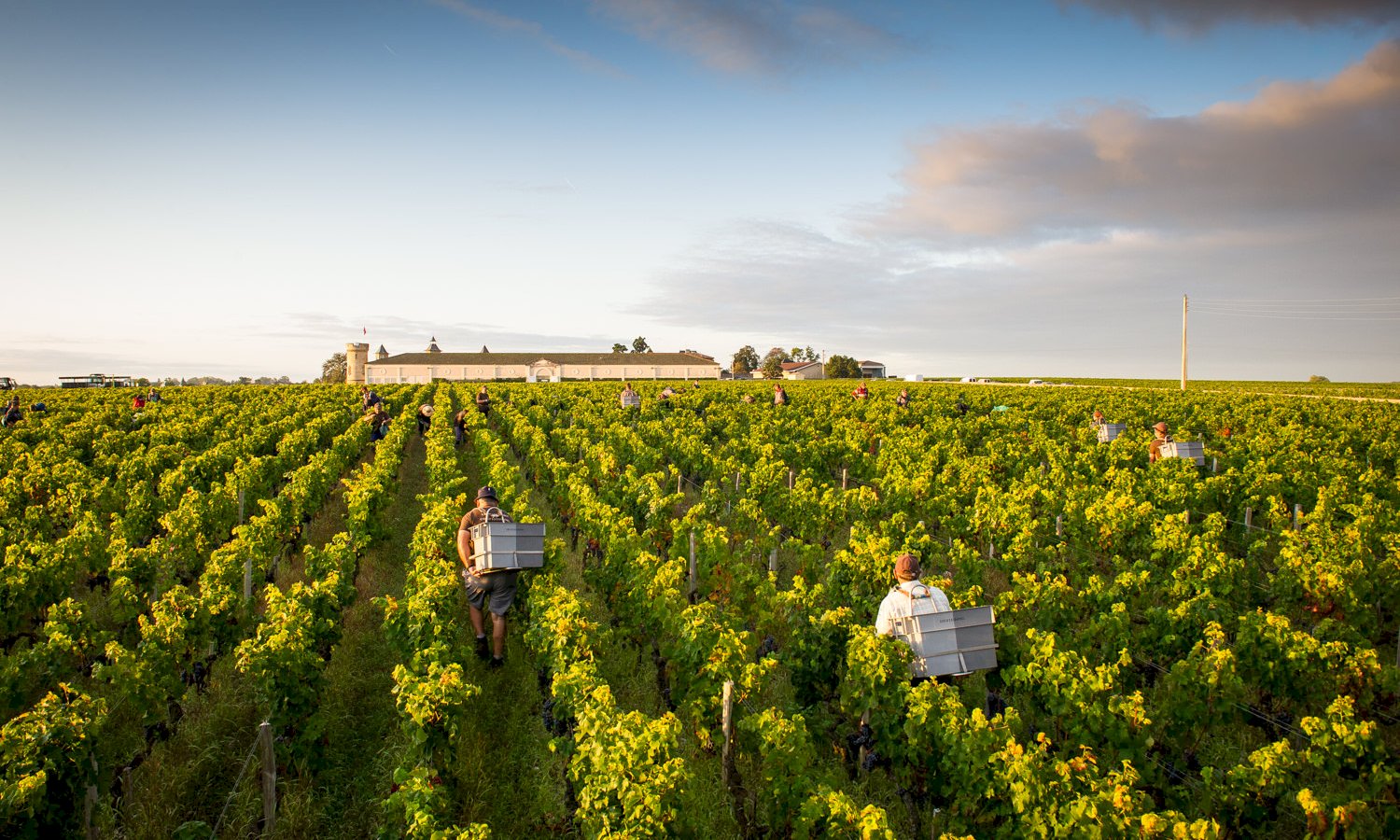 wine tour from le verdon