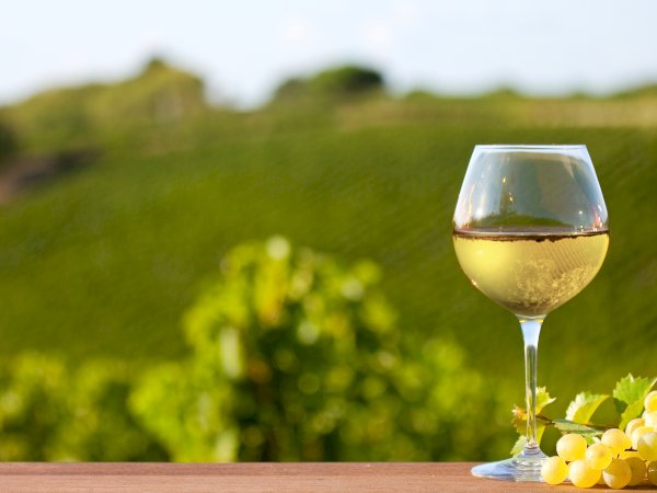 Ophorus Tours - From Nice to Saint Paul de Vence & Provence Wine Tour half-day private