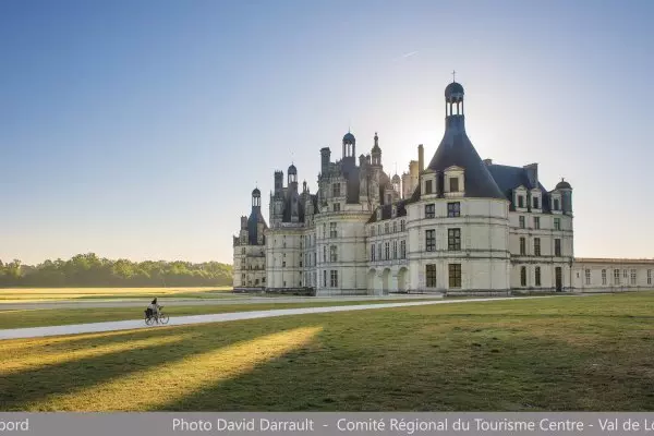 History & Majesty: Private Loire Valley Castles Tour from Paris