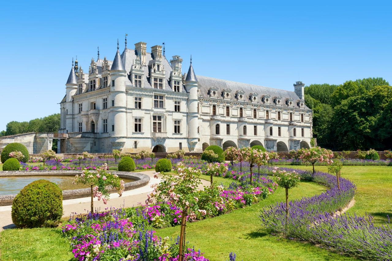 Ophorus Tours - History & Majesty: Private Loire Valley Castles Tour from Paris