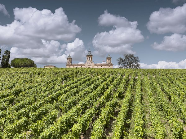 Ophorus Tours - VIP Cos d’Estournel Private Wine Tour from Bordeaux