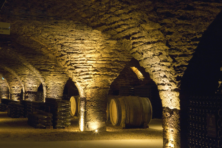 Ophorus Tours - Indulge in Burgundy's Grands Crus: Private Wine Tour from Beaune