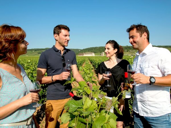 Ophorus Tours - Indulge in Burgundy's Grand Crus: Private Wine Tour from Beaune