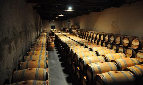 Ophorus Tours - Wine Lover's Paradise: Medoc Wine Tour from Bordeaux Port