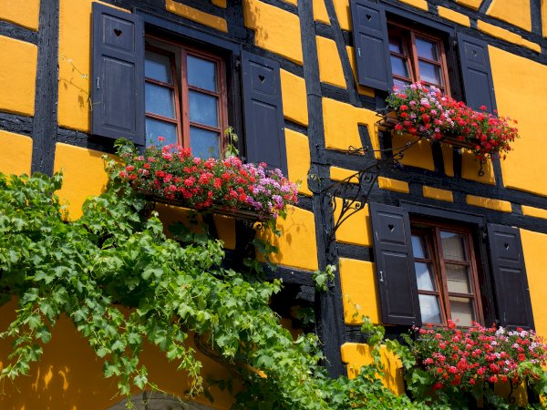 Ophorus Tours - 5-Day Small Group Alsace Packages - Strasbourg - 5* Hotel