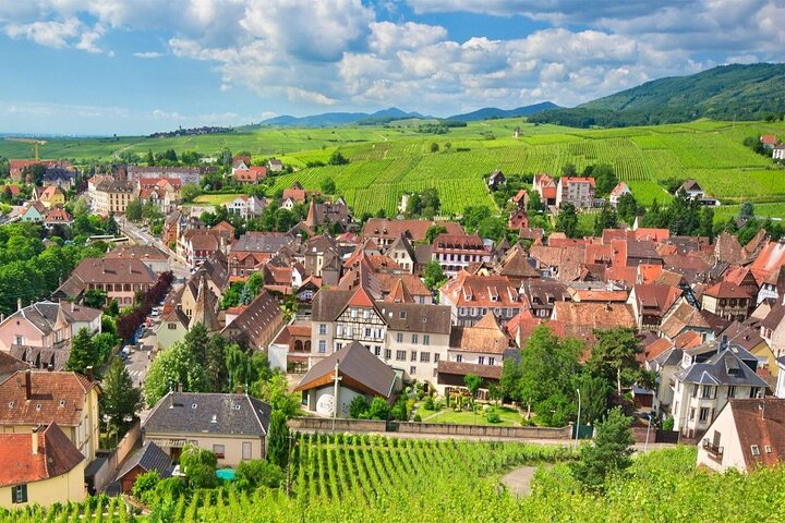 Ophorus Tours - Alsace Day Tour: From Strasbourg to Colmar, Riquewihr & Haut Koenigsbourg