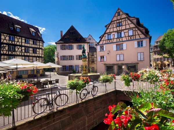 Ophorus Tours - Alsace Day Tour: From Strasbourg to Colmar, Riquewihr & Haut Koenigsbourg (2026)
